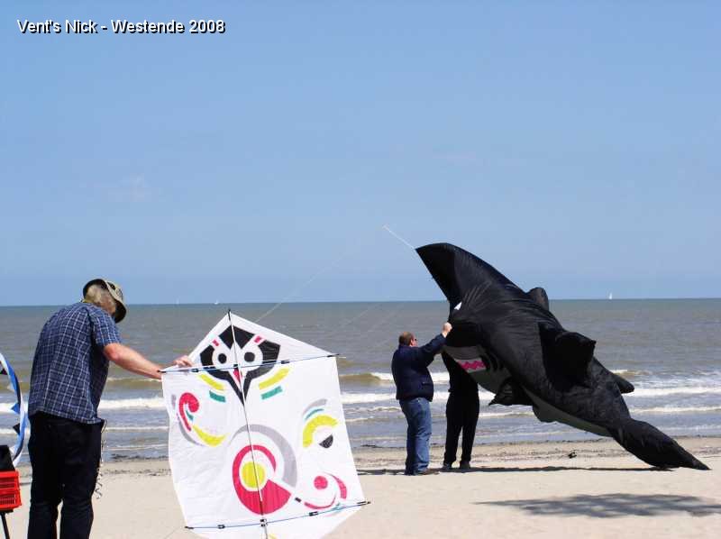 P6150079.JPG - Régis fait prendre l'air à son nouveau requin tandis qu'un beau Rokkaku va prendre les airs.