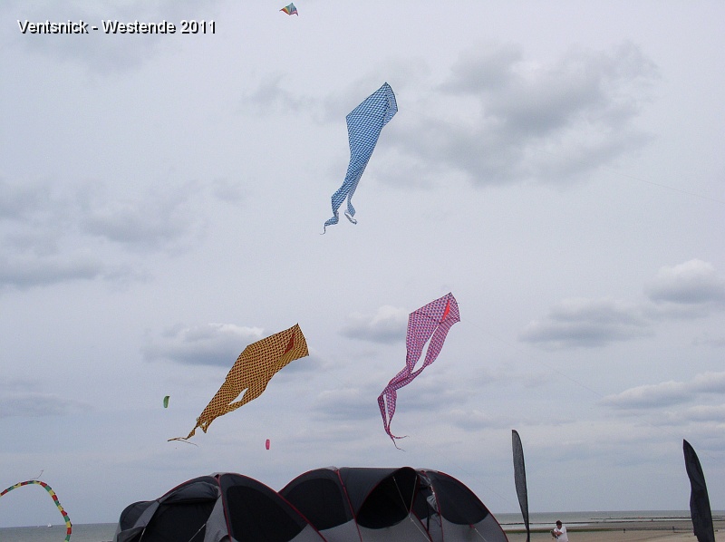 P6120138.JPG - Les Sky Flyers, à leur tour, tentent un envol de leurs deltas à longues queues. Là encore difficile de dépasser quelques minutes de vol, tôt ou tard les turbulences rabattent les cerfs-volants ou les font planer au point de devenir incontrôlables.