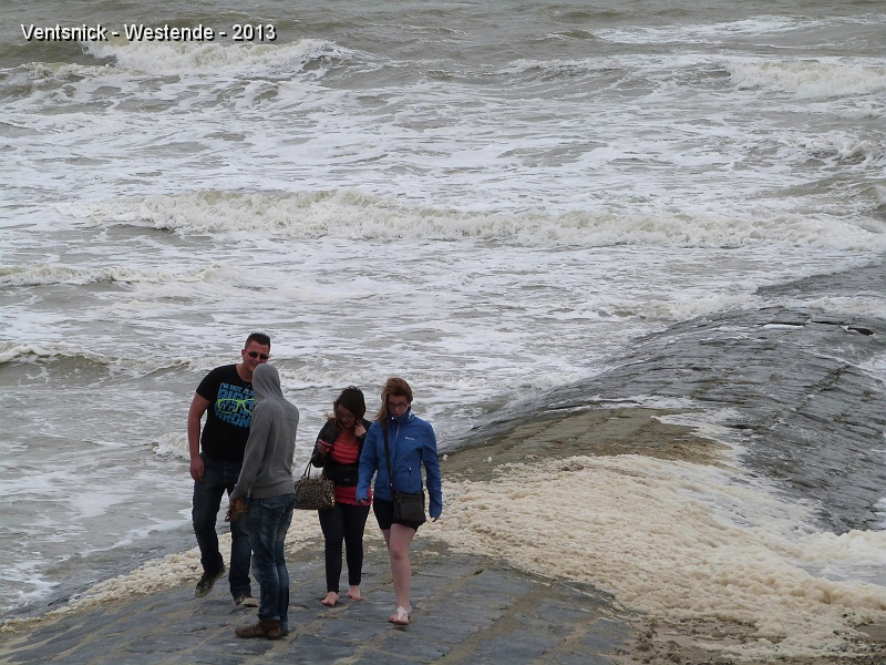 P1050354.jpg - Des visiteurs téméraires ont goûté, du bout des pieds, la température de l'eau !