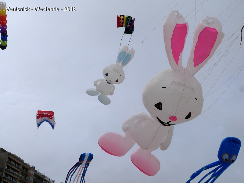 P1290723.jpg - ... ses "Rabbits" se balancent sur sa ligne ...