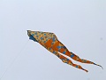 P1290516