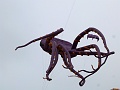 P1290576